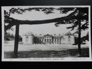 Bedfordshire: A Peep Through The Cedars, Woburn Abbey - Old RP Postcard by Frith