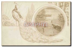 Old Postcard Peacock