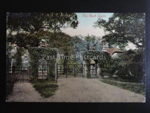 Nottinghamshire EDWINSTOWE The Buck Gate c1904 Old Postcard by Valentine