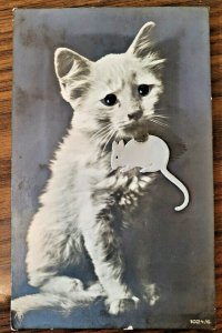 RPPC Postcard Cute White Kitten W Glass Bead Eyes & Applique Mouse in Mouth 1024