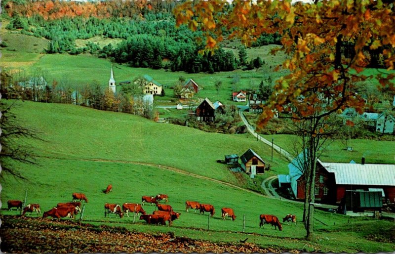 Canada New Brunswick Greetings From Snow's Lodge Picturesque Country Vil...