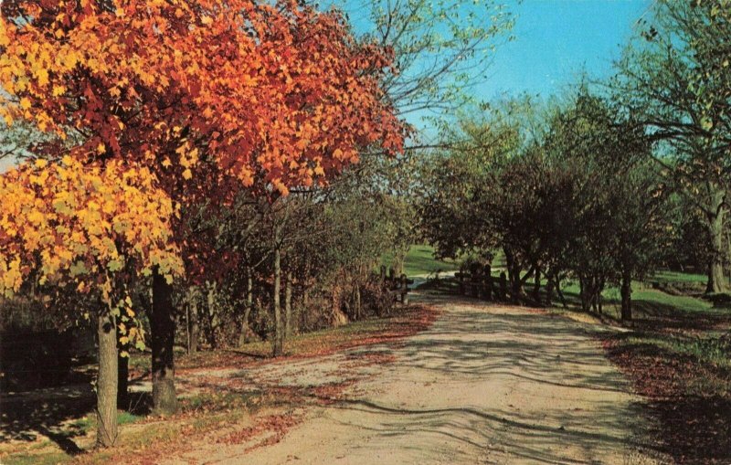 Postcard Lincoln Log Cabin State Park near Charleston Illinois