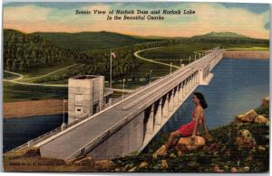 View of Norfolk Dam, Norfolk Lake Ozarks Linen Vintage Postcard Y03