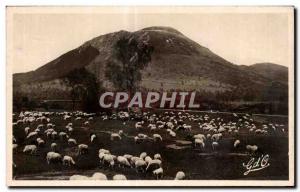 Old Postcard The Auvergne Puy de Dome (altitude)