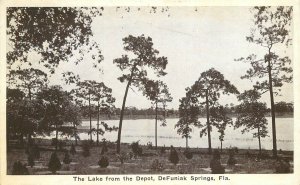 Postcard Florida De Funiak Springs Lake Depot Auburn Greeting 23-3171