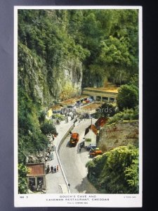 Somerset CHEDDAR Gough's Cave & Caveman Restaurant, Old Postcard by Raphael Tuck
