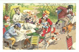 Mainzer Dressed Cats - Patio Dining