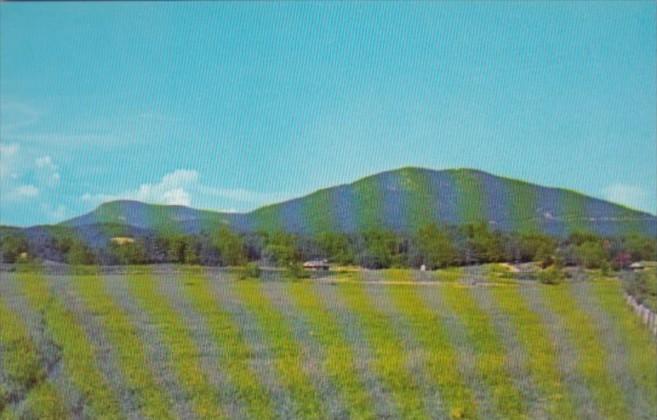 Georgia Chatsworth Fort Mountain Seen From U S Highway 411 Fort Mountain Stat...