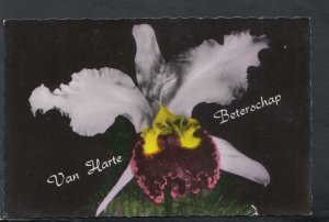 Flowers Postcard - Netherlands, Van Harte Beterschap. Posted 1968? -T7120