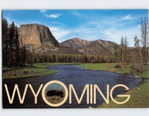 Postcard Madison River, Yellowstone National Park, Wyoming