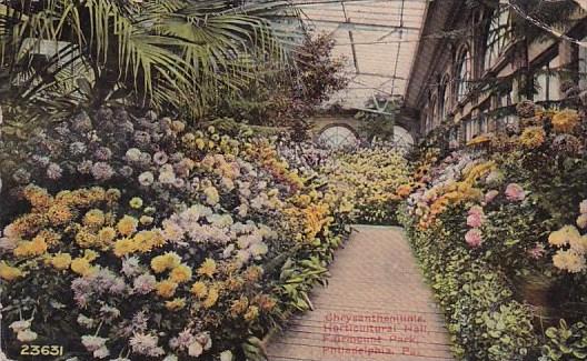 Chrysantheme Horticuitural Hall Fairmount Park Philadelphia Pennsylvania 1910