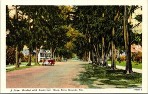 Florida Boca Grande Street Shaded With Austrailian Pine Trees Curteich