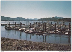 View looking southwest from Queen Charlotte City,  B.C., Canada,  50-70s
