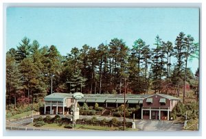 c1950's Bird's Eye View Beaver Lake Court Asheville North Carolina NC Postcard 