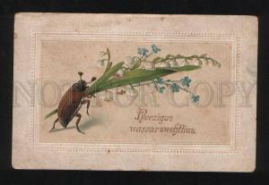 3056581 MAY Bug BEETLE w/ Flower Vintage Greeting PC