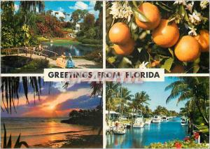 Modern Postcard Greeting from Florida