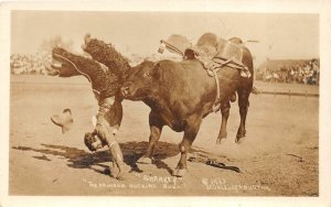 H12/ Interesting RPPC Postcard c1920 Cowboy Sharkey Bucking Bull Rodeo 7