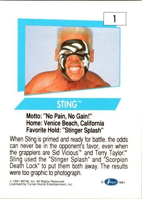 1991 WCW Wrestling Card Sting sk2113