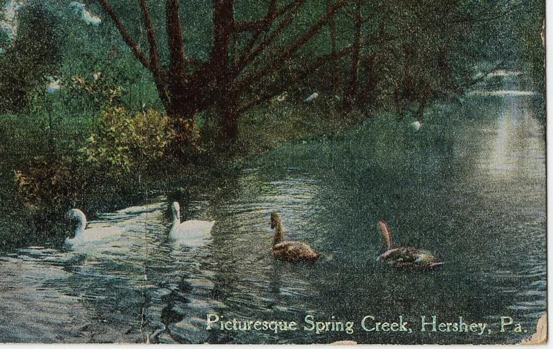 1921 Hershey PA Picturesque Spring Creek Swans Dauphin County RARE DB Postcard