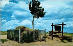 Wyoming Tree Growig Out Rock Between Cheyenne and Laramie