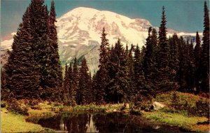 Postcard WA Mount Rainier and Fairy Pool