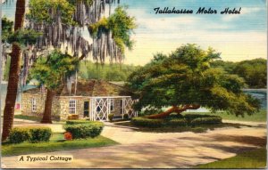 Tallahassee Motor Hotel A Typical Cottage Tallahassee FL Postcard PC46