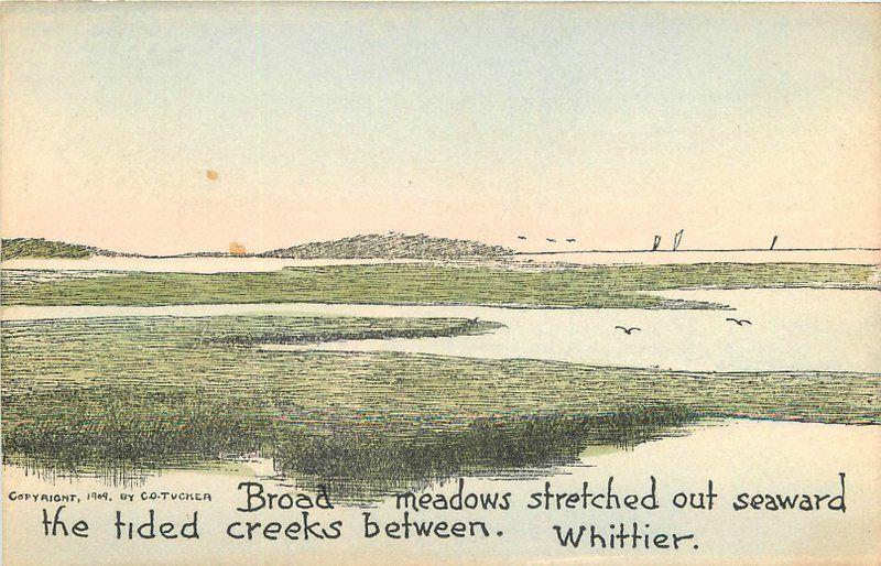 Artist Impression C-1910 Broad Meadow Whittier California Tucker postcard 2164