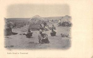 Transvaal South Africa Kaffir Fraal Native Scene Antique Postcard K84032