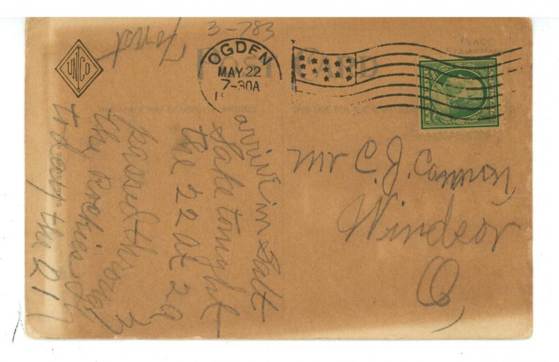 Humor - Bats In Your Belfry