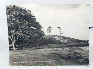 Ramblers & Dog Lichfield Road Milford Surrey Vintage Friths Series RP Postcard