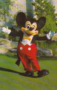 Mickey Mouse Walt Disney World Orlando Florida