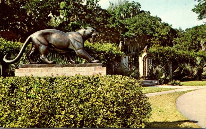 South Carolina Murrels Inlet Brookgreen Gardens The Panther