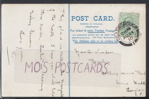 Family History Postcard - Wisdom - Hollingbourne Road, Herne Hill  RF3300