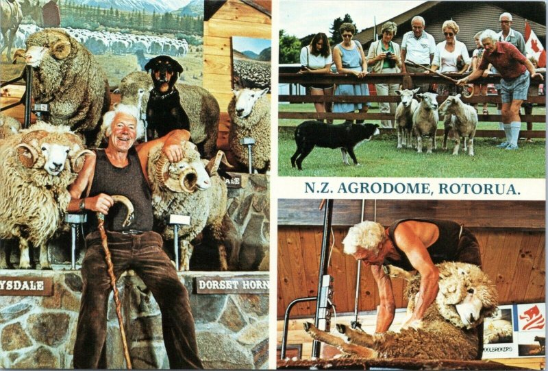 postcard Rotorura, New Zealand - Agrodome at Riverdale Park