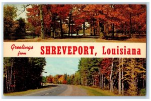 Shreveport Louisiana LA Postcard Greetings Autumn Trees Country Road c1960's