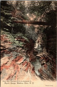 Vtg Watkins Glen New York NY Mystic Gorge 1907 Handcolored Rotograph Postcard