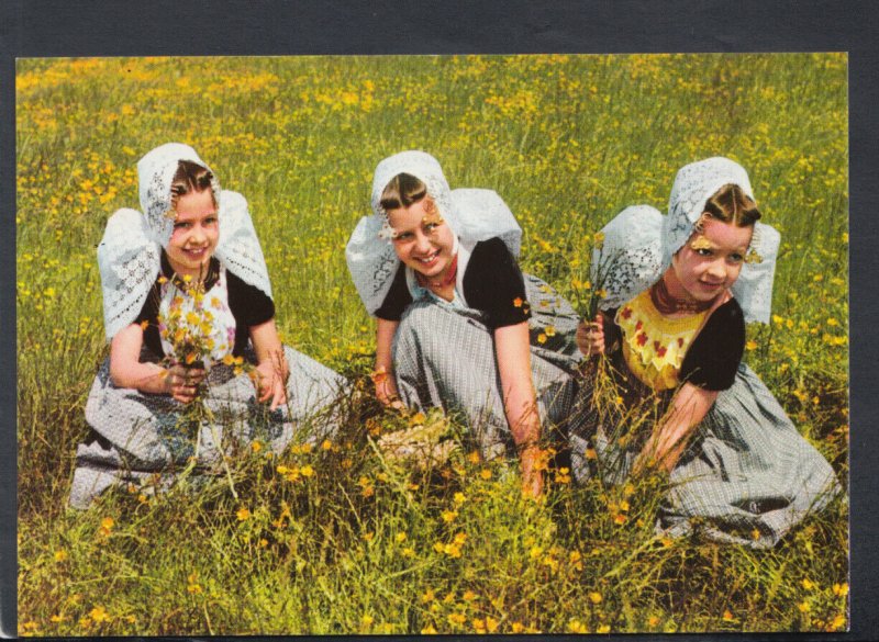 Netherlands Postcard - Three Pretty Young Girls - Klederdrachten     T8429