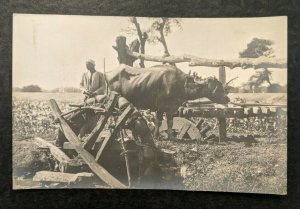 Mint Vintage Farmer with Ox and Equipment Egypt Real Photo Postcard RPPC