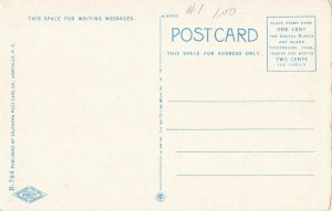 Postcard Mount Pisgah North Carolina