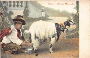Malta Maltese Milk Seller Boy Goat Ethnic vintage postcard B932