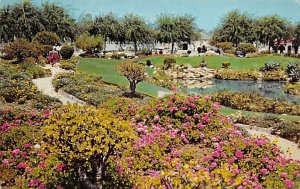 Beautiful Douglas Park Santa Monica California  