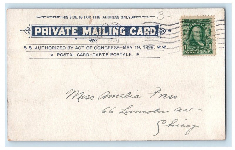 c1900s Whirpool Rapids Niagara Falls New York NY PMC Posted Postcard