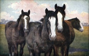 Salmon Series Four Beautiful Horses Animal Studies No. 2142 c1910 PC