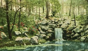 Postcard Early View of Water Falls, Bronx Park in New York, N.Y    S7