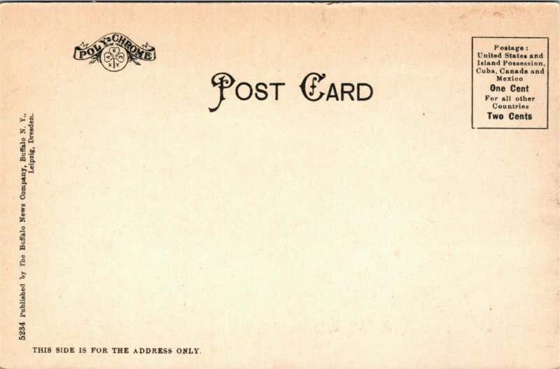 Postcard NY Buffalo The Front Showing Niagara River - Railroad, Bridge C.1905 C1