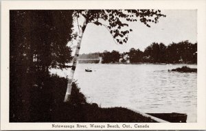 Nottawasaga River Wasaga Beach Ontario ON Boating Unused Litho Postcard H62