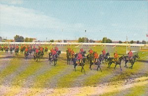 Royal Canadian Mounted Police Musical Ride