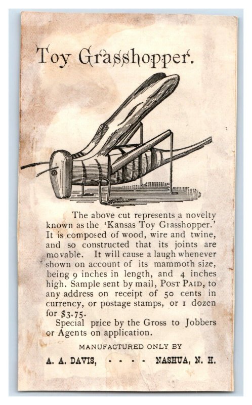 1870s-80s A.A. Davis Mfg. Kansas Toy Grasshopper Fab! P84