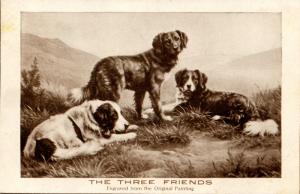 Dogs - The Three Friends