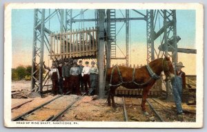 Nanticoke Pennsylvania~Man w/Workhorse @ Head of Mine Shaft~Postcard 1920s